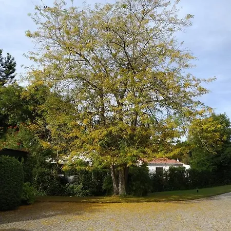 Penina Family House * Portimão