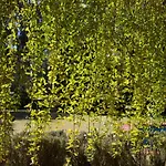 Villa Penina Family House