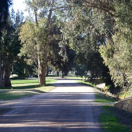 Penina Family House *