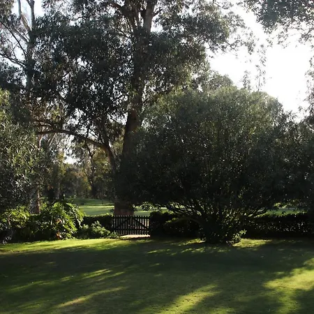 Penina Family House