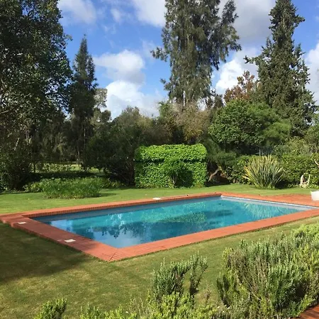 Penina Family House *