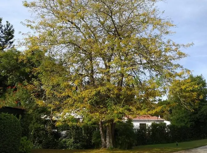 Penina Family House * Portimão