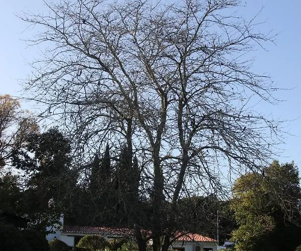 Penina Family House Villa