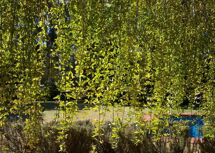 Villa Penina Family House